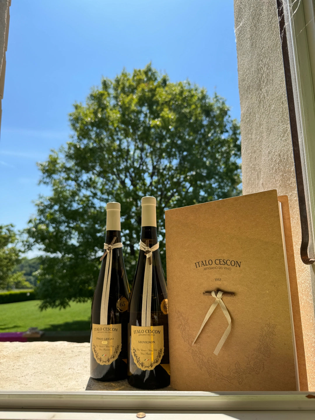 Pinot grigio DOC delle Venezie  -  Italo Cescon - vaigustando