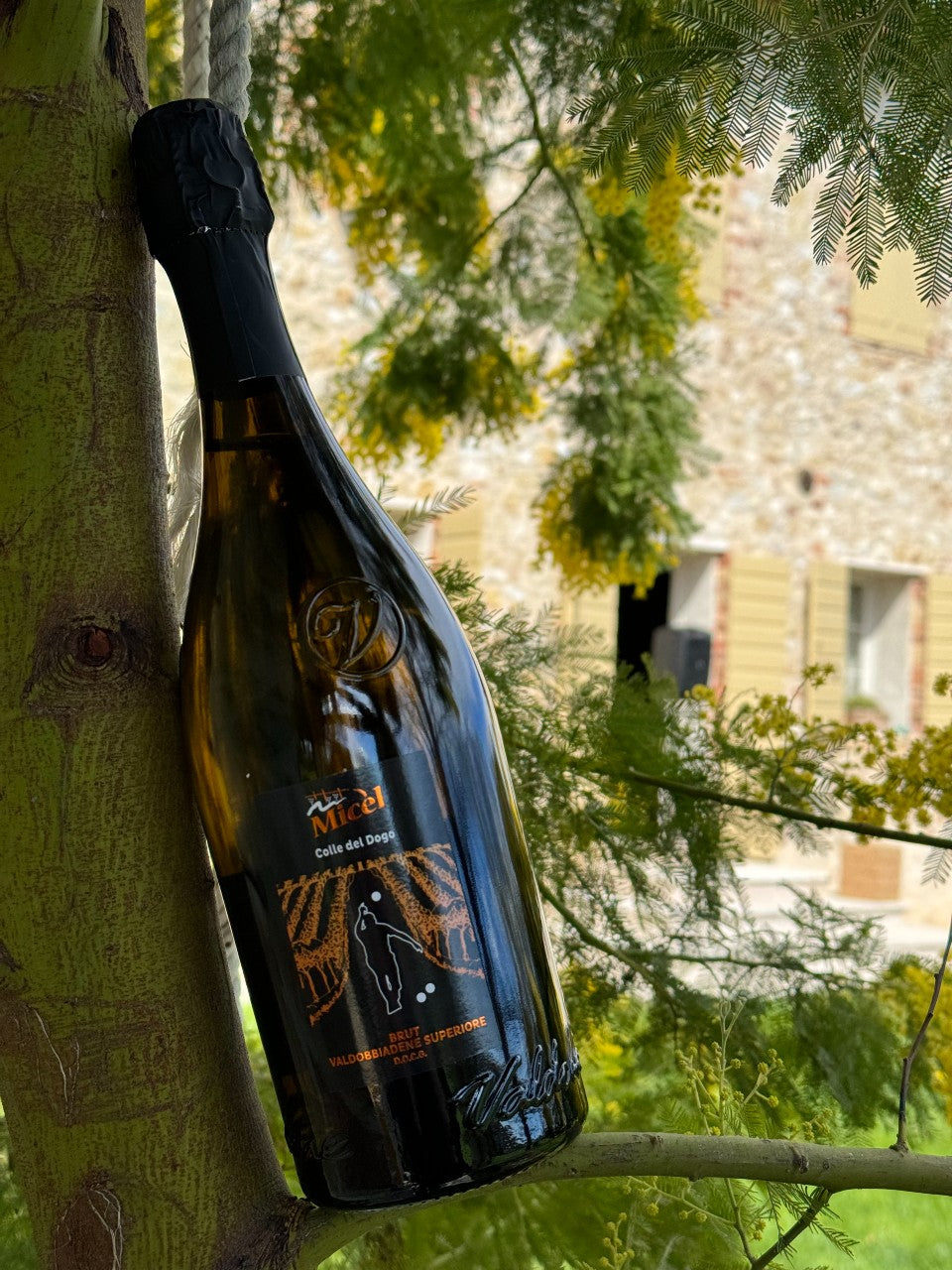 Valdobbiadene Prosecco Superiore DOCG  Millesimato BRUT  -  Vini Micel - vaigustando