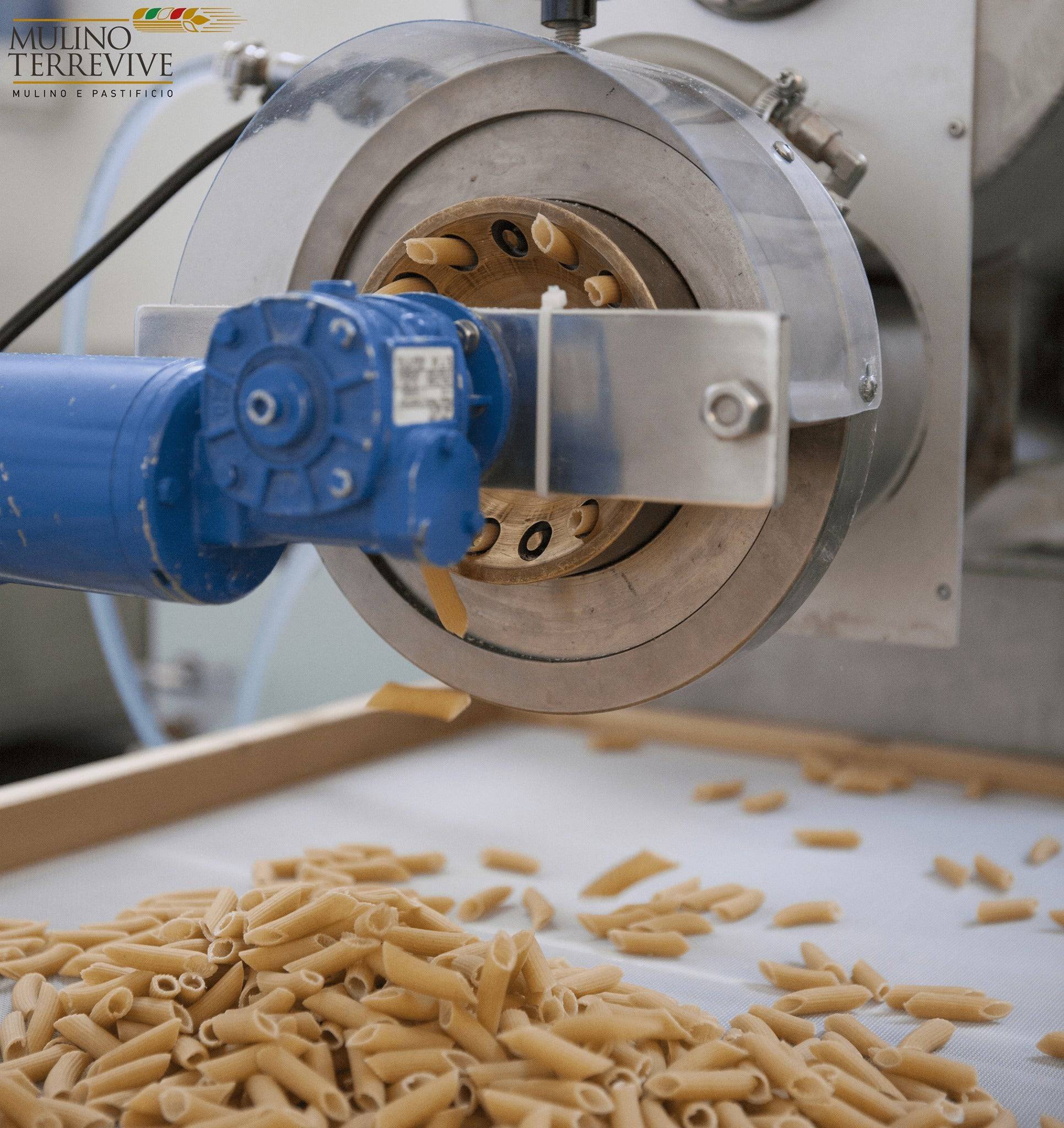 Pasta Integrale  Grano Duro Linea Oro  Penne 500g  -  Mulino Terrevive - vaigustando