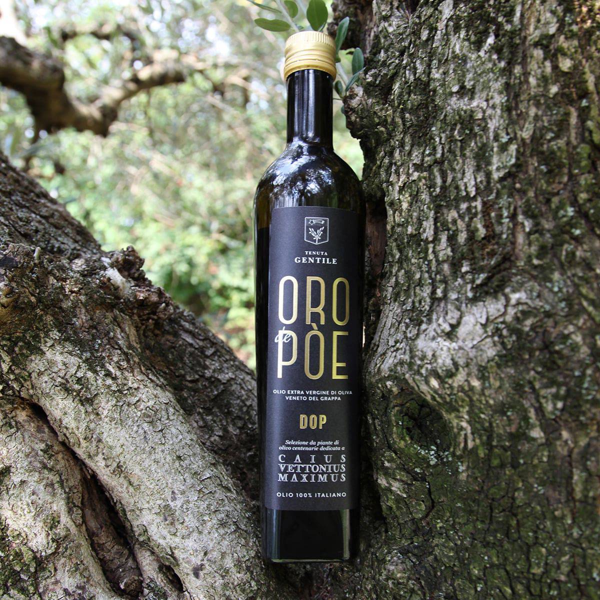 Olio Extravergine Veneto del Grappa DOP Presidio Slow Food 500ml confezione regalo  -  Oro de Pòe - vaigustando