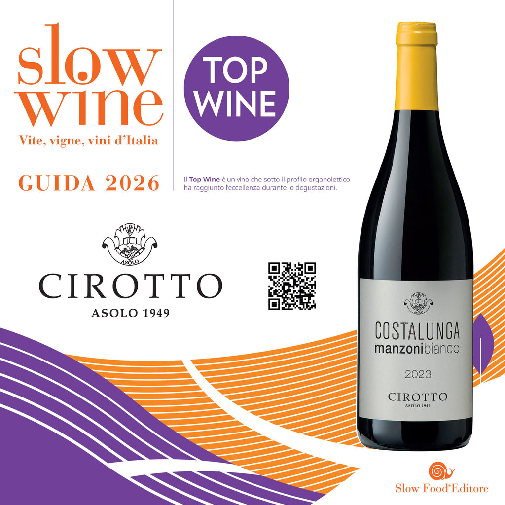 Costalunga Manzoni bianco  -  Cirotto - vaigustando