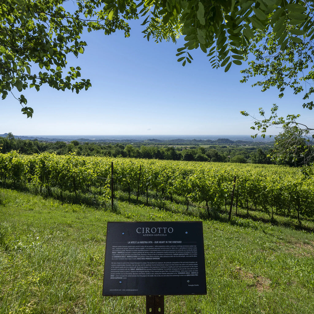 Asolo Prosecco Superiore DOCG Millesimato extra Brut  -  Cirotto - vaigustando