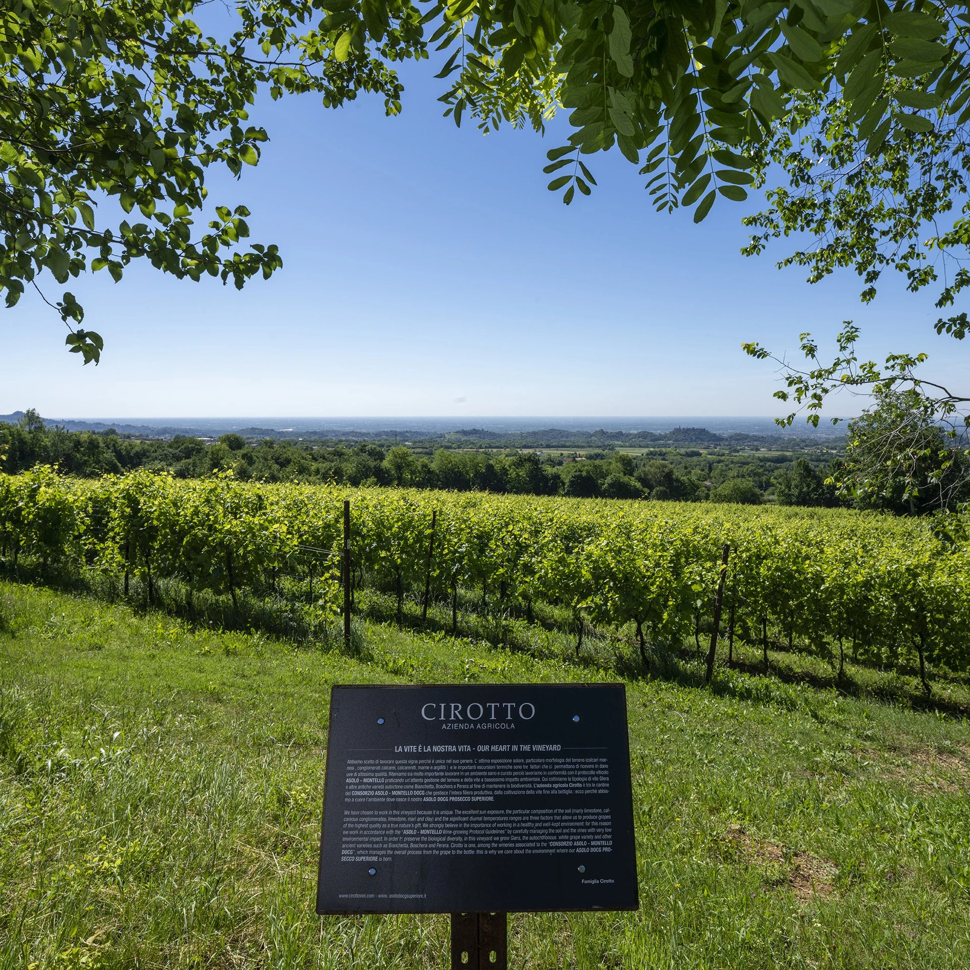 Asolo Prosecco Superiore DOCG Millesimato extra Brut  -  Cirotto - vaigustando