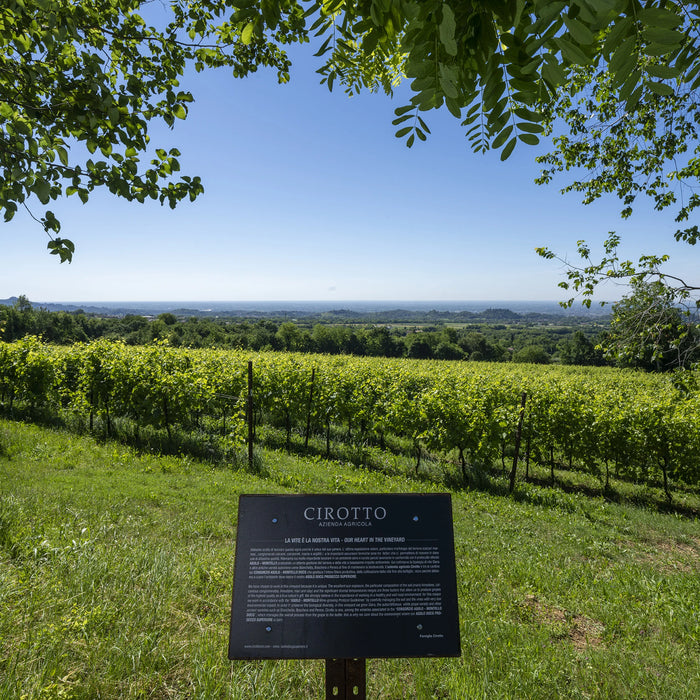 Asolo Prosecco Superiore DOCG Millesimato extra Dry  -  Cirotto - vaigustando