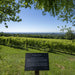 Asolo Prosecco Superiore DOCG Millesimato extra Dry  -  Cirotto - vaigustando