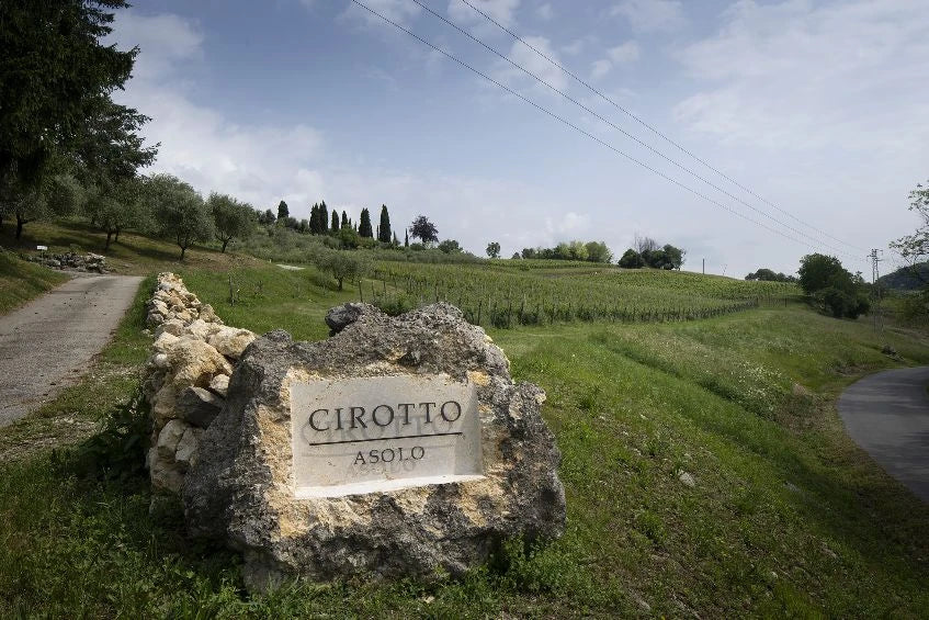Costalunga Manzoni bianco  -  Cirotto - vaigustando