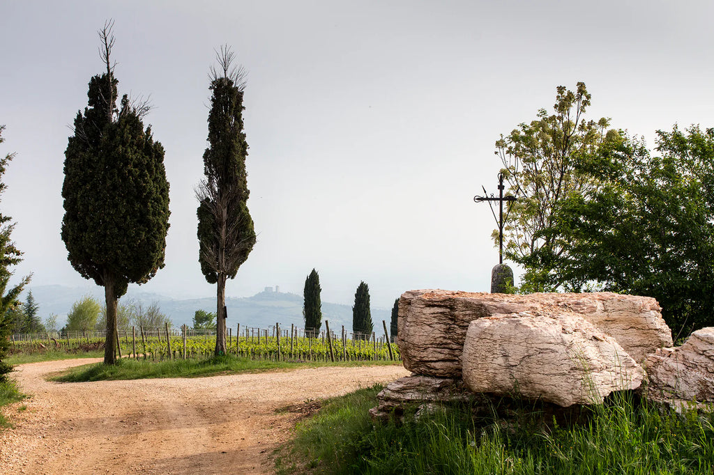 Gini Tenuta Scajari terroir vigne vista Illasi
