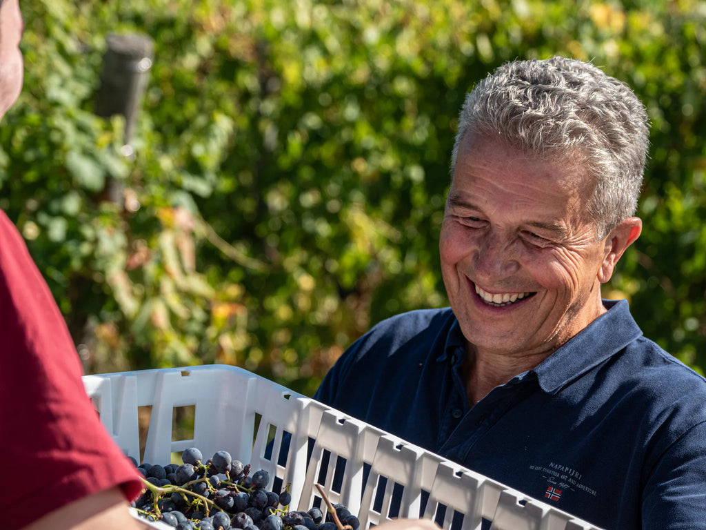 Gini Tenuta Scajari vendemmia valpolicella e amarone momento di soddisfazione