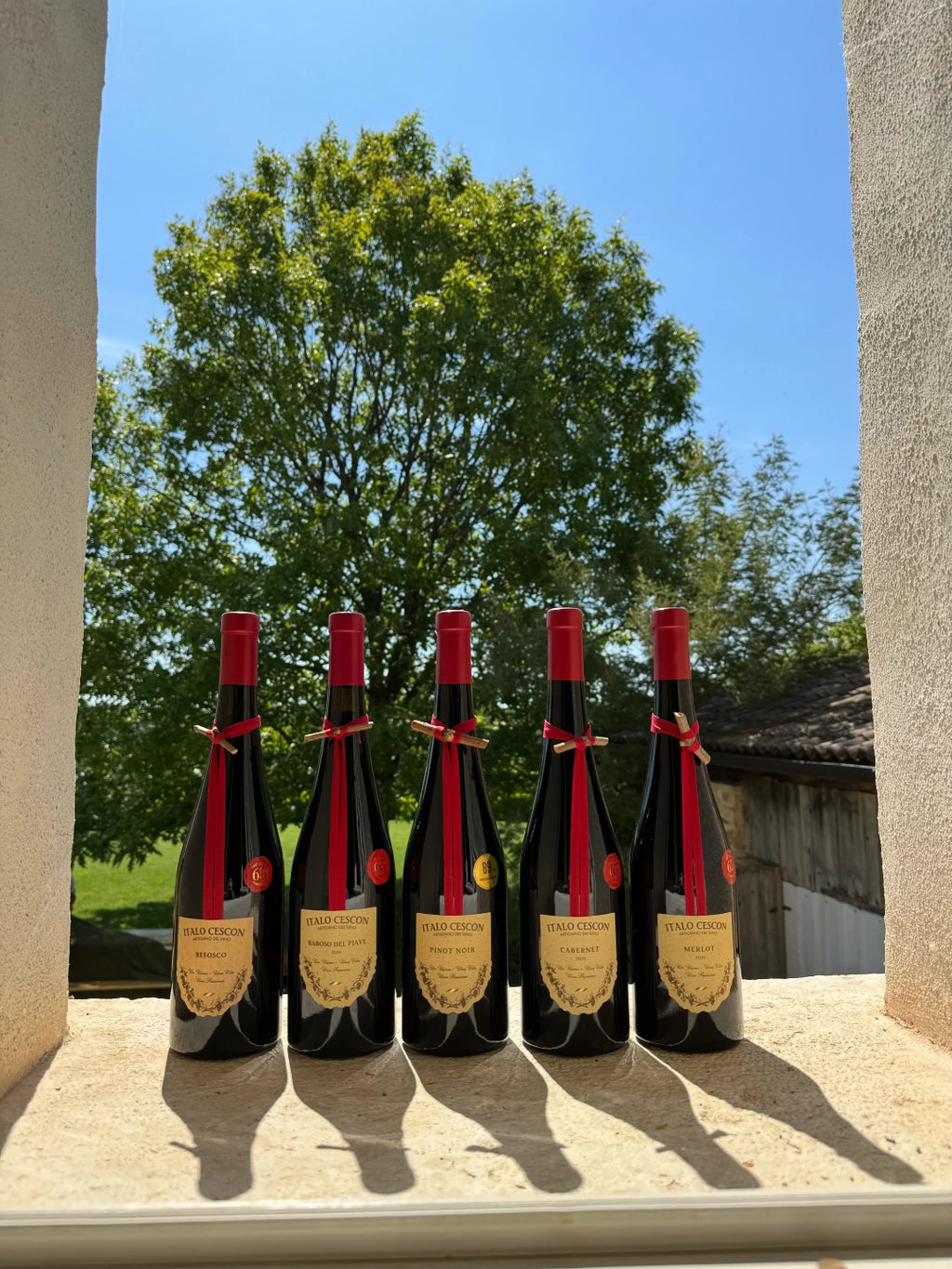Pinot nero Veneto I.G.T.  -  Italo Cescon - vaigustando