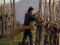 Angelo Pat vino bianco frizzante rifermentazione naturale in bottiglia