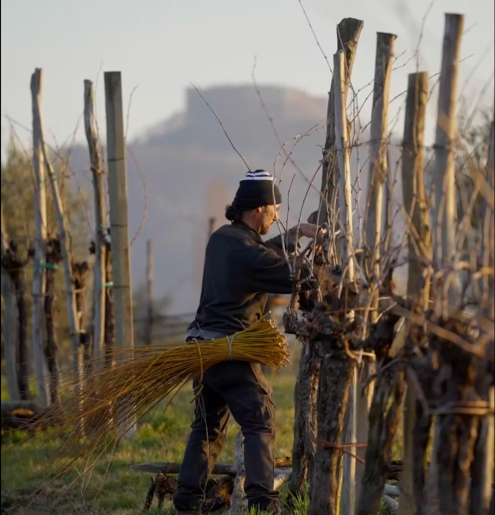 Angelo Pat Magnum Weißer Schaumwein, natürliche Flaschengärung, Jahrgang 2018