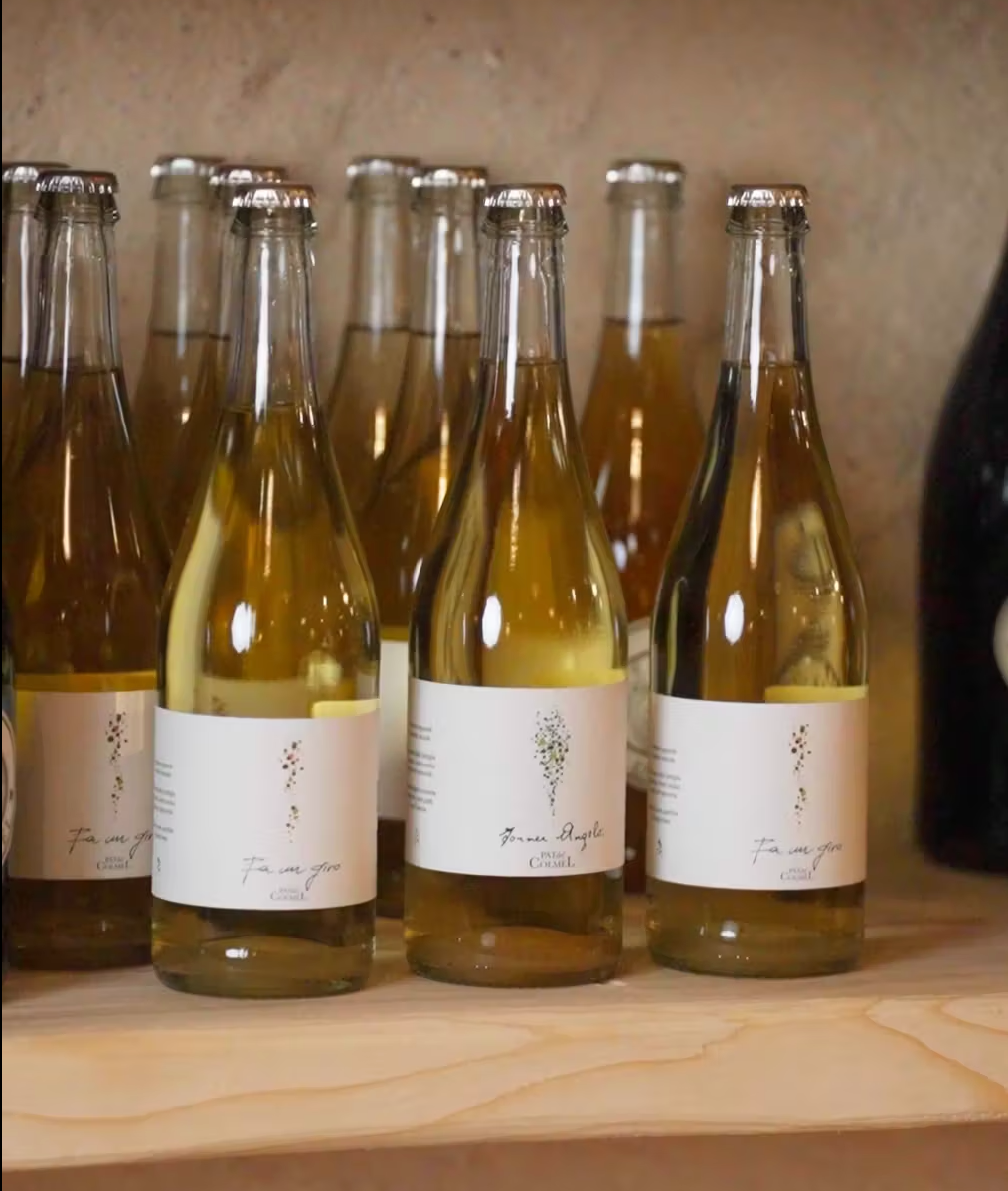 Angelo Pat Magnum Weißer Schaumwein, natürliche Flaschengärung, Jahrgang 2018